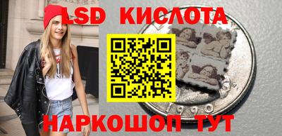 прущие грибы Пенза