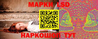прущие грибы Пенза
