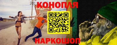 прущие грибы Пенза