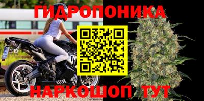 прущие грибы Пенза