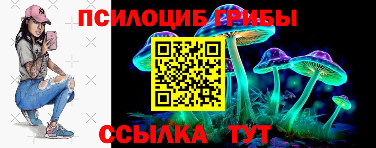 продажа наркотиков  Вход с VPN  Чебаркуль  Псилоцибиновые грибы ЛСД 